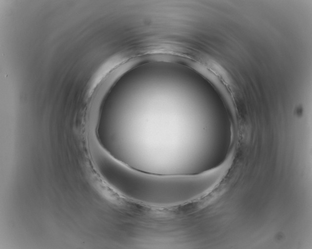 X0000092051138200709191115