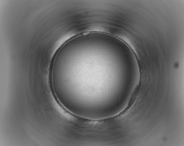 X0000092051139200709191115