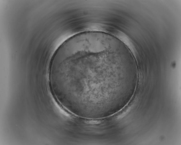 X0000092051141200709191115