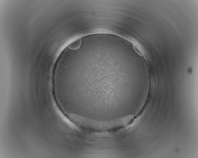 X0000092051142200709191115