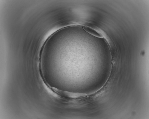 X0000092051143200709191115