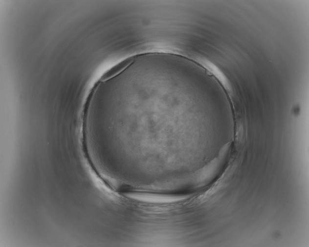 X0000092051144200709191115