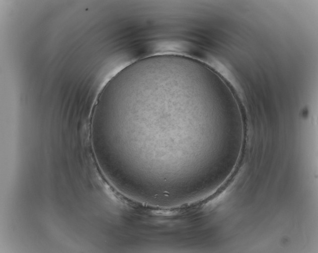 X0000092051145200709191115