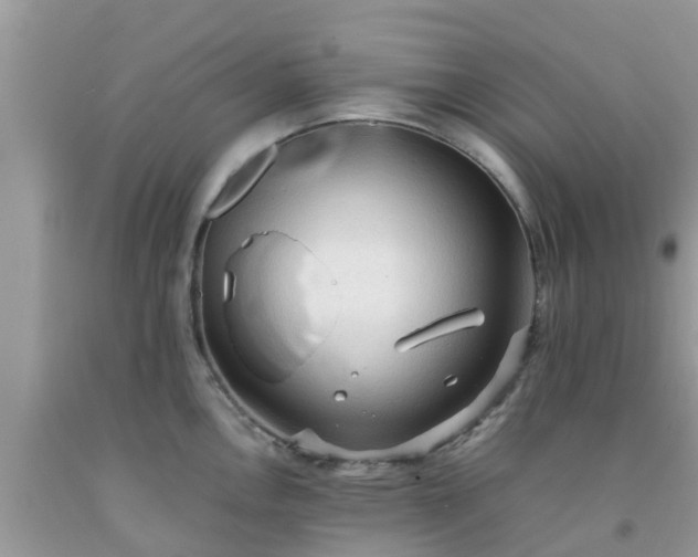 X0000092051146200709191115