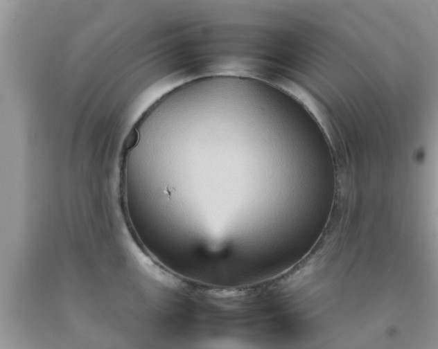 X0000092051147200709191115