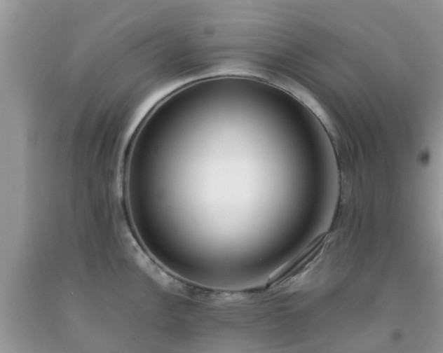 X0000092051148200709191115