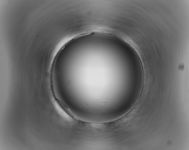 X0000092051152200709191116