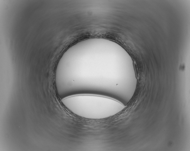 X0000092051153200709191115