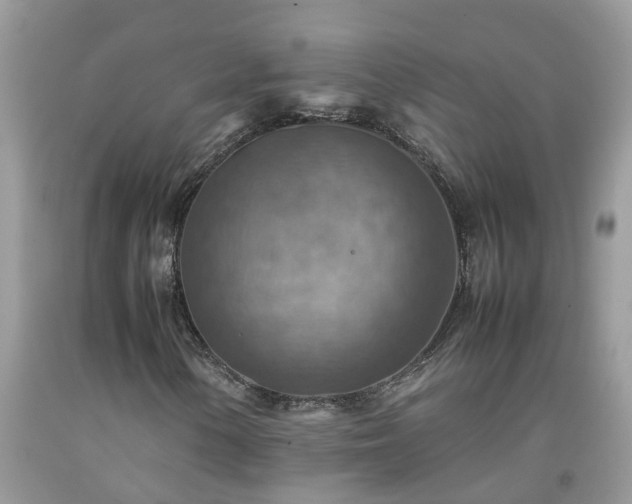 X0000092051154200709191115