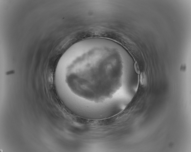 X0000092051155200709191115