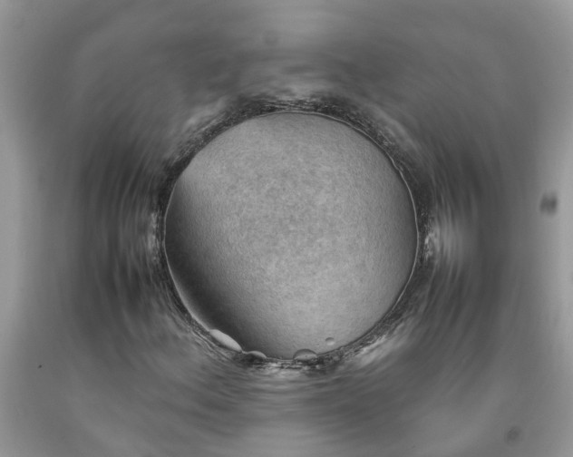 X0000092051156200709191115