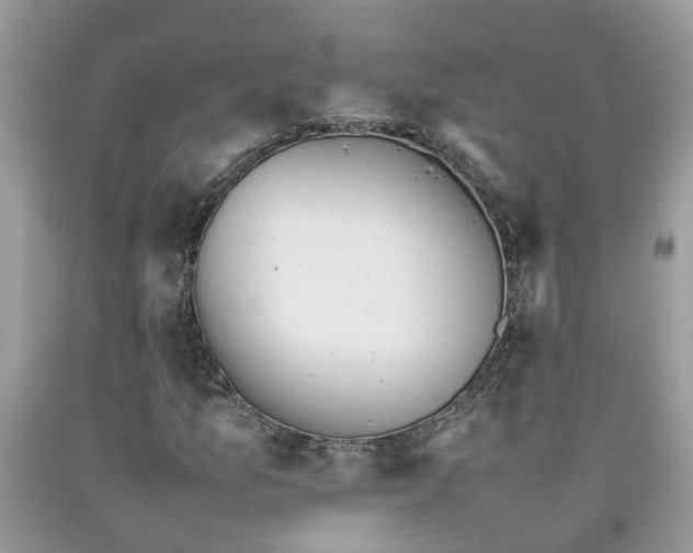 X0000092051157200709191115