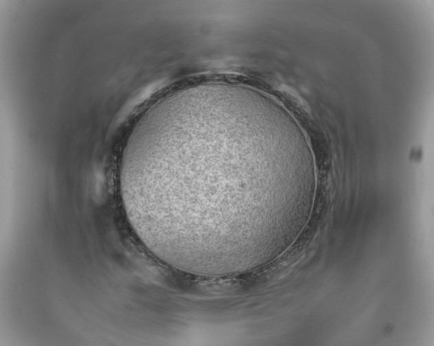 X0000092051159200709191115