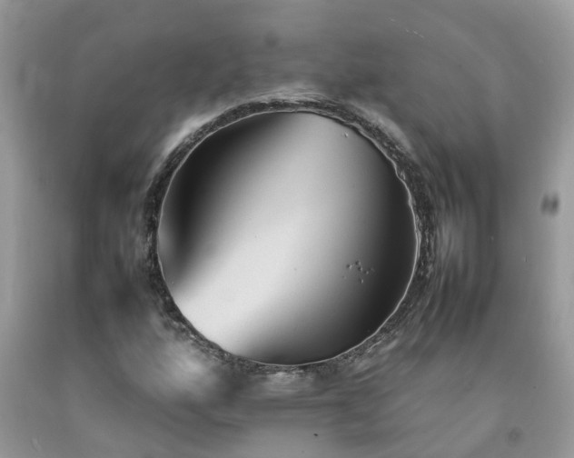 X0000092051160200709191115