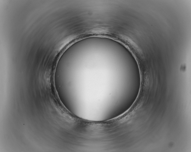 X0000092051162200709191115