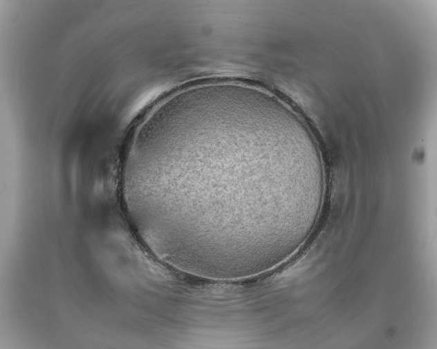 X0000092051163200709191115