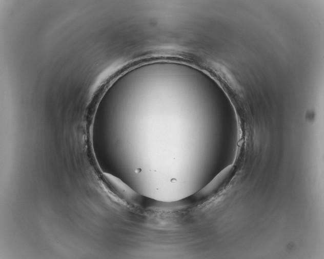 X0000092051164200709191115