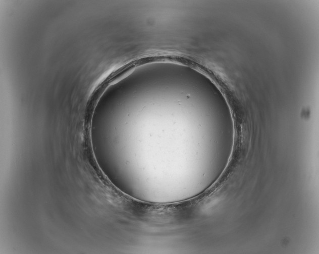 X0000092051165200709191115