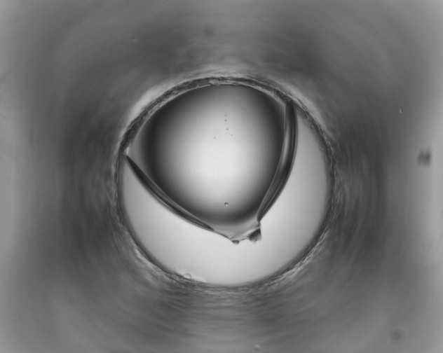 X0000092051168200709191115