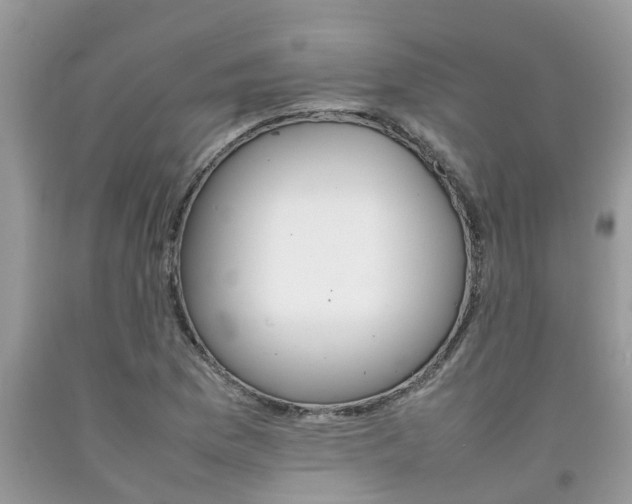 X0000092051169200709191115