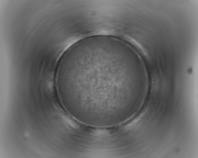 X0000092051170200709191115