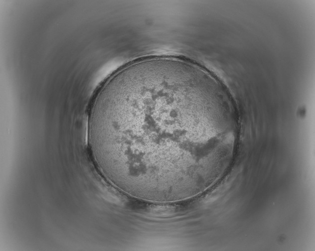 X0000092051171200709191115