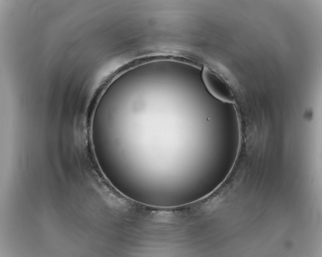 X0000092051172200709191115