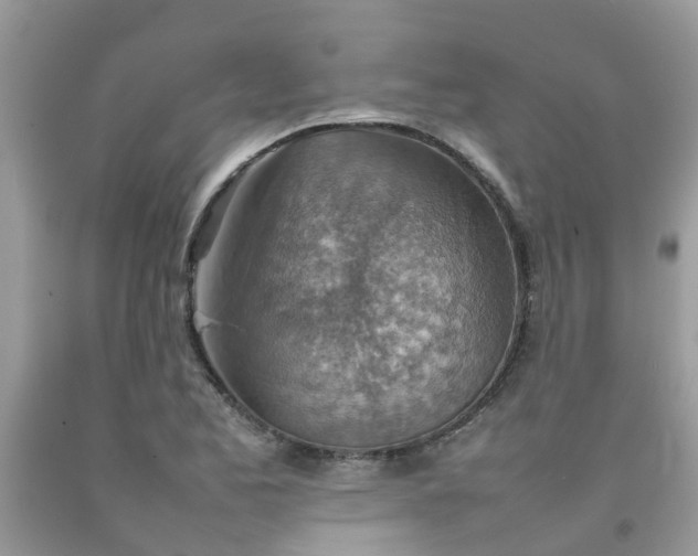 X0000092051173200709191115