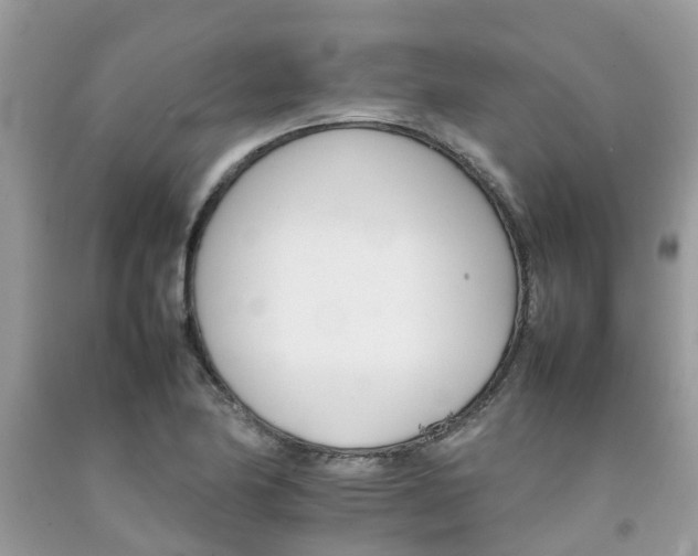 X0000092051174200709191115