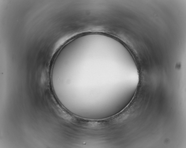 X0000092051176200709191115