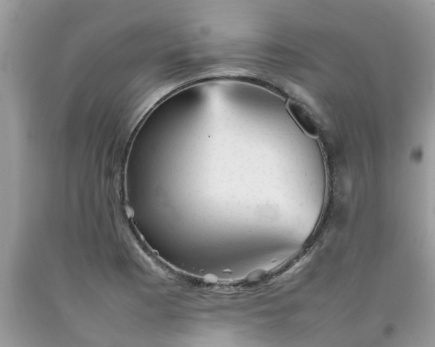 X0000092051177200709191115