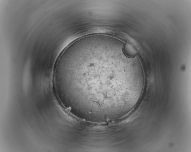 X0000092051178200709191115