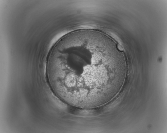 X0000092051179200709191115