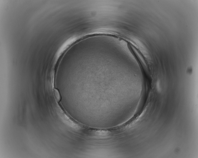 X0000092051180200709191115