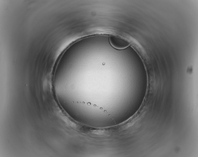 X0000092051182200709191115