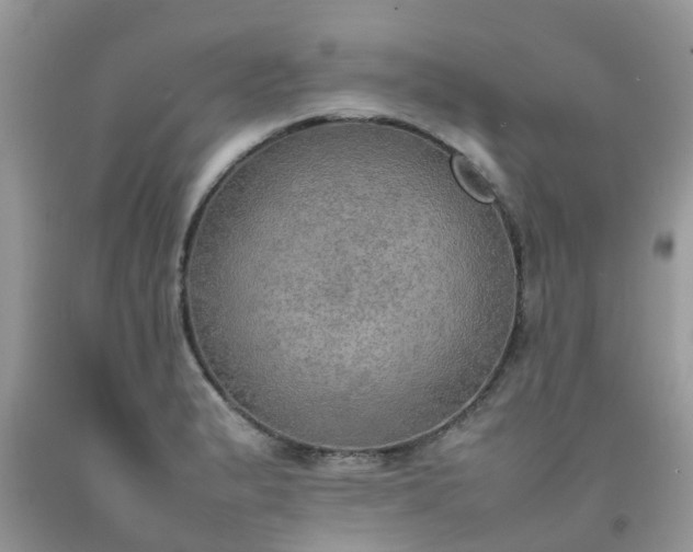 X0000092051183200709191115