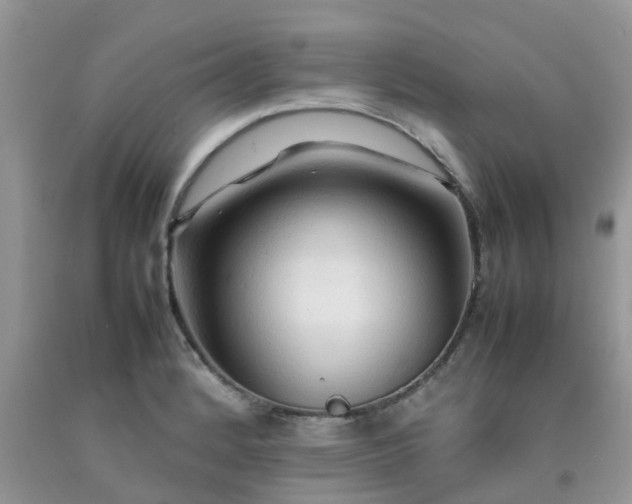 X0000092051184200709191115