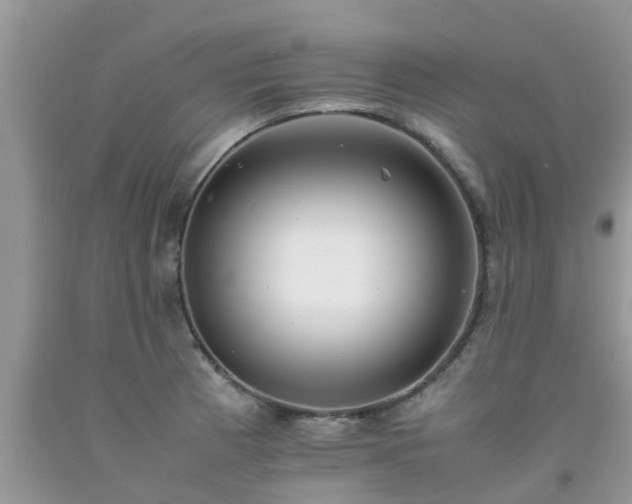 X0000092051185200709191115