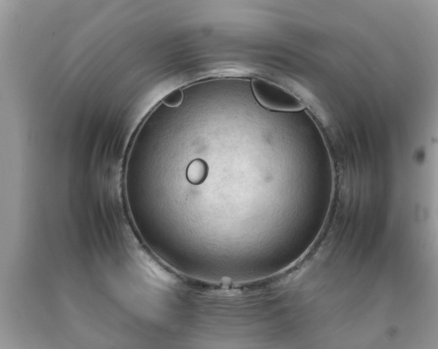 X0000092051186200709191115