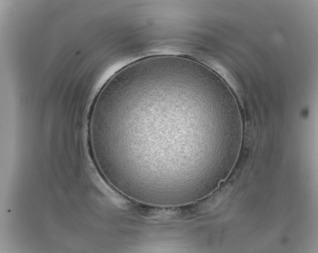 X0000092051187200709191115