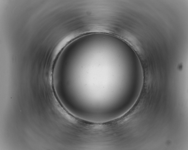 X0000092051188200709191115