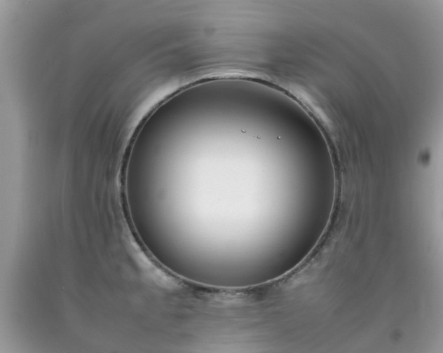 X0000092051189200709191115