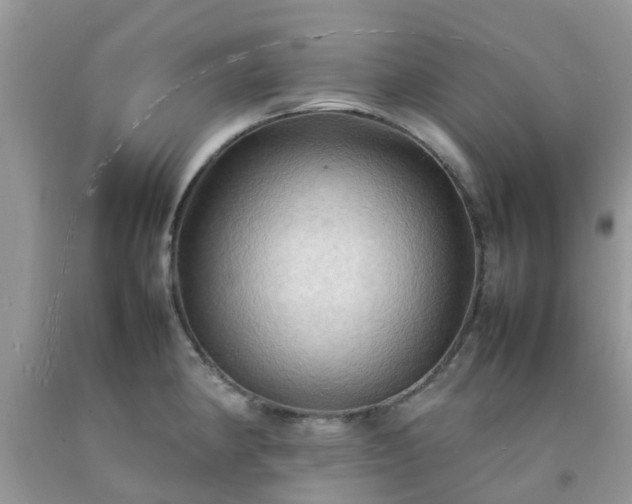 X0000092051190200709191114