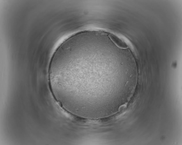 X0000092051191200709191114