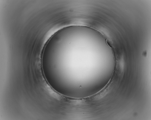 X0000092051192200709191114