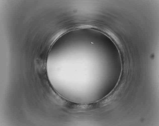 X0000092051193200709191114