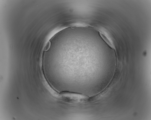 X0000092051195200709191114