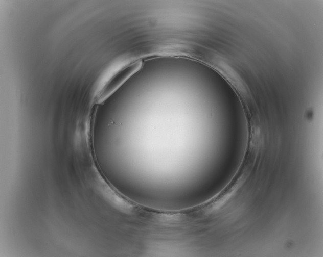 X0000092051196200709191114