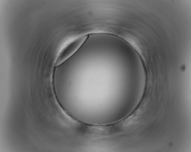 X0000092051197200709191114