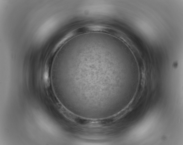 X0000092051198200709191114